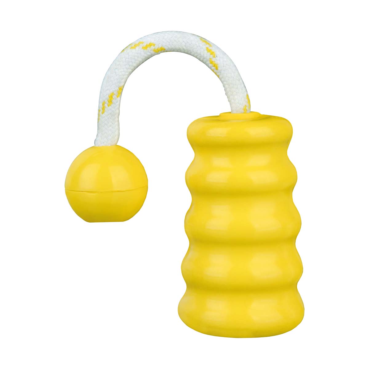 JOUET CAOUTCHOUC FLOTTANT