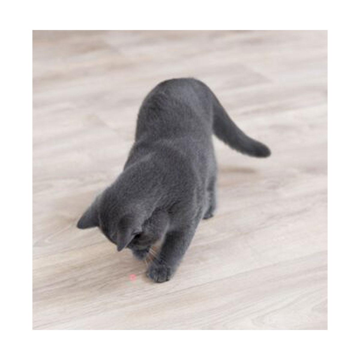 JOUET CHAT POINTEUR LASER