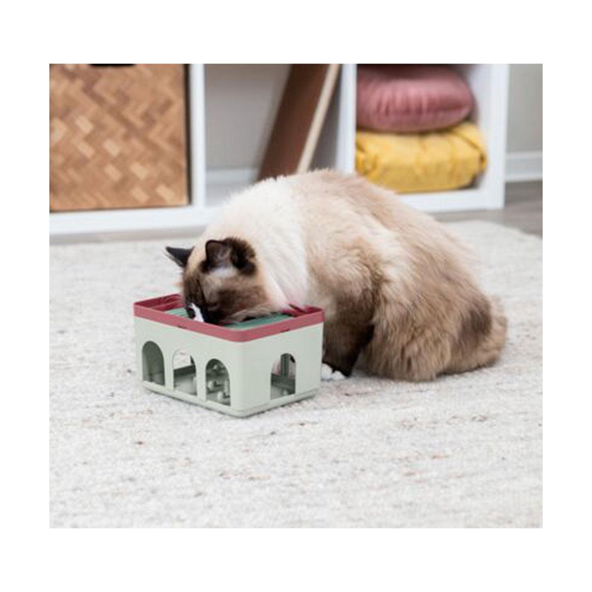 JOUET CHAT ROD BOX
