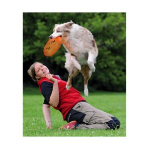 JOUET CHIEN DOG DISC