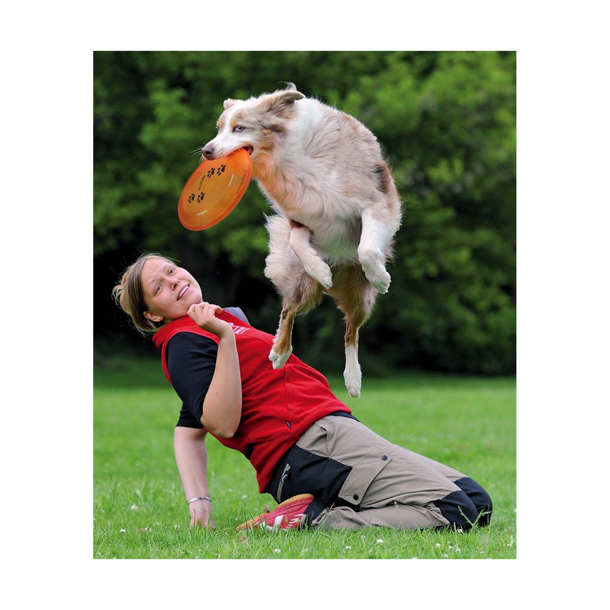 JOUET CHIEN DOG DISC