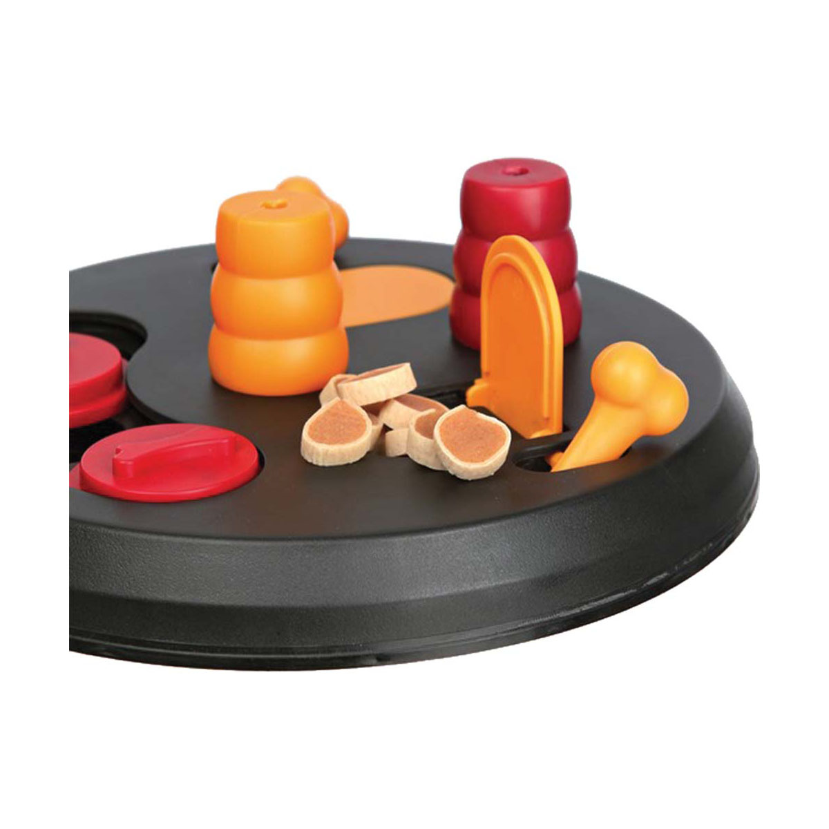 JOUET CHIEN FLIP BOARD