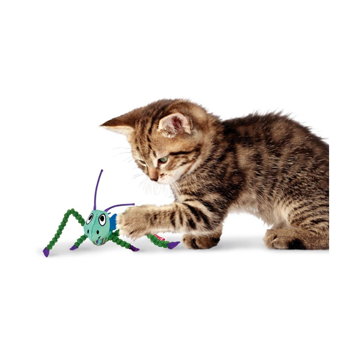 JOUET KONG CHAT CRACK.GRASSHOPPER