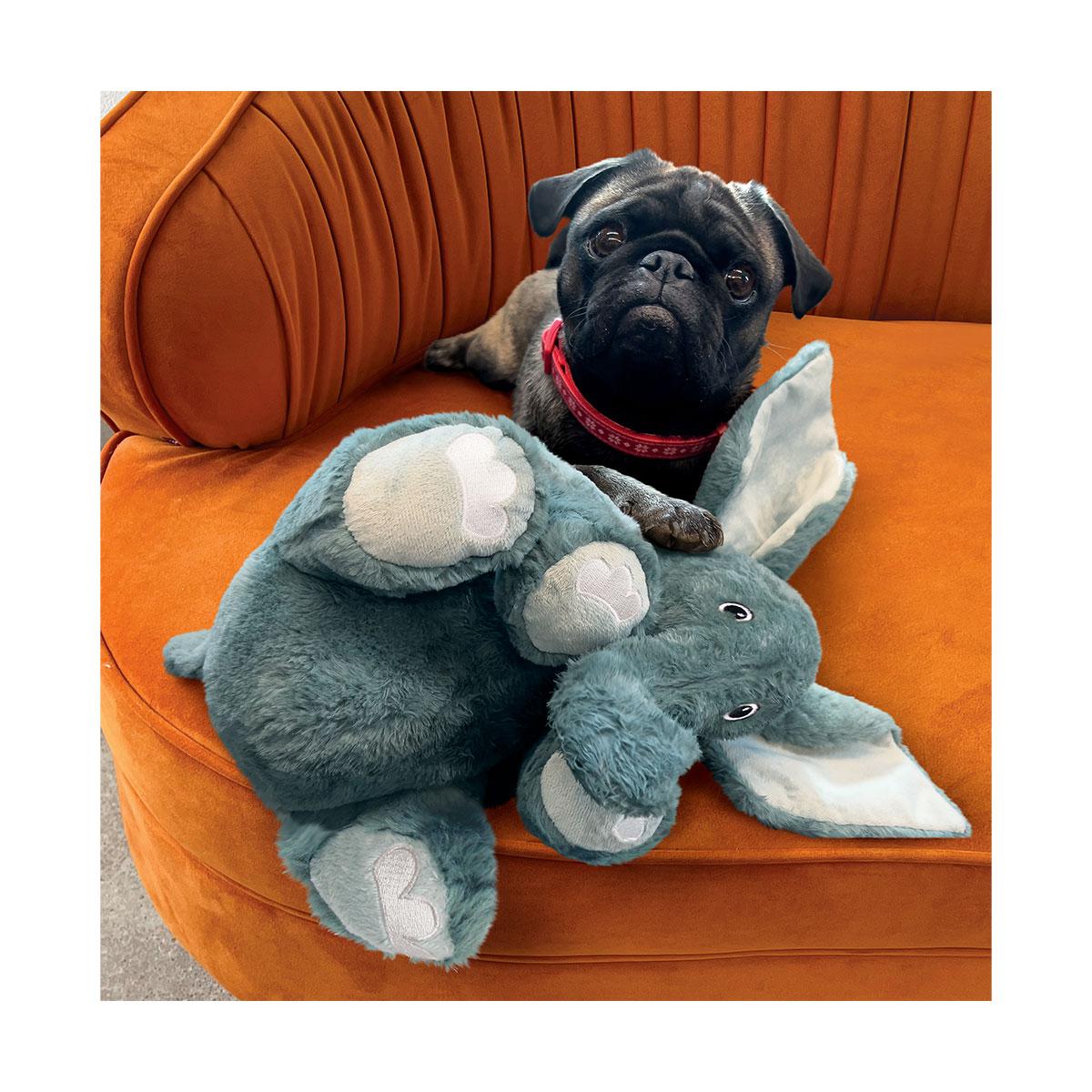 JOUET KONG COMFORT ELEPHANT XL