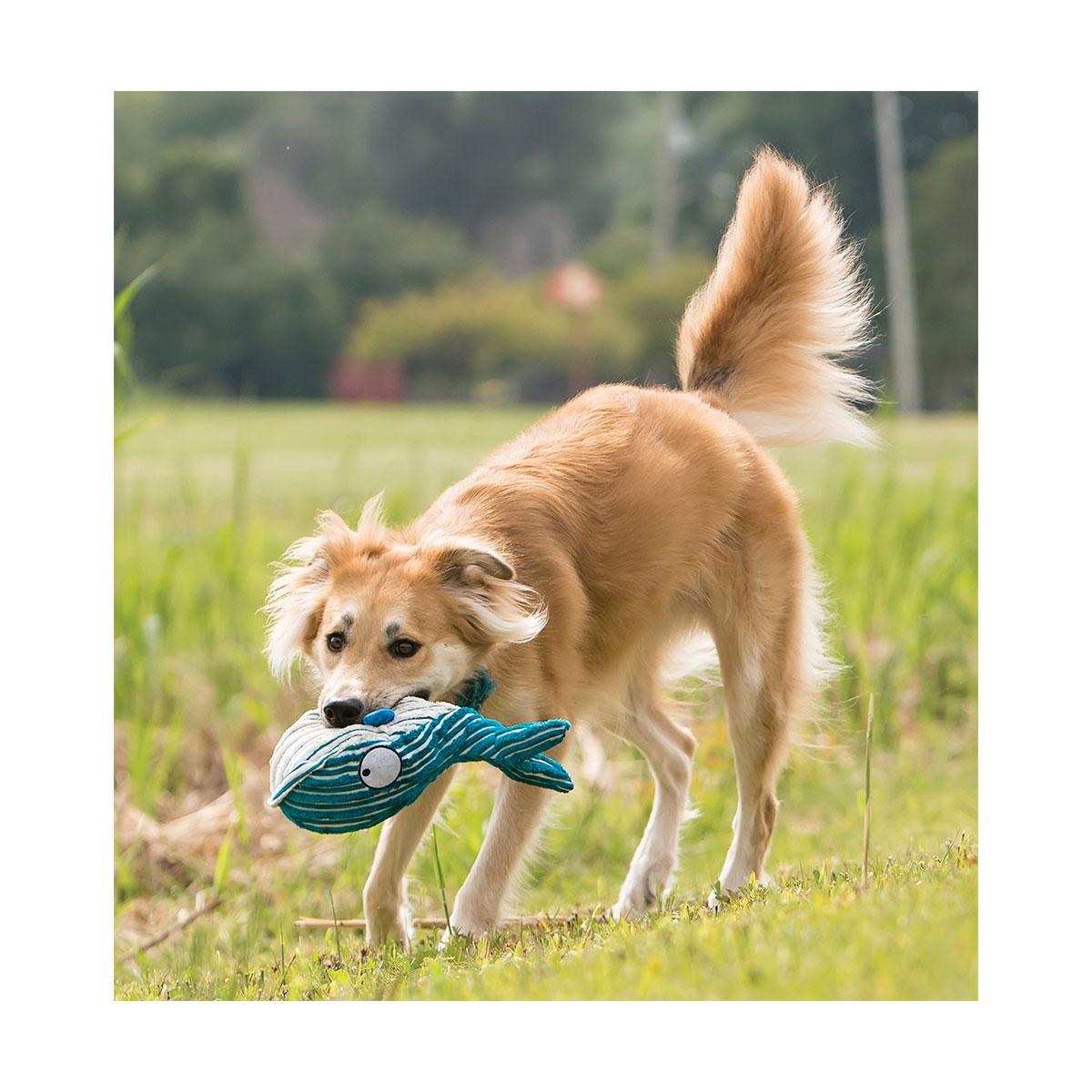 JOUET KONG CUTESEAS BALEINE L