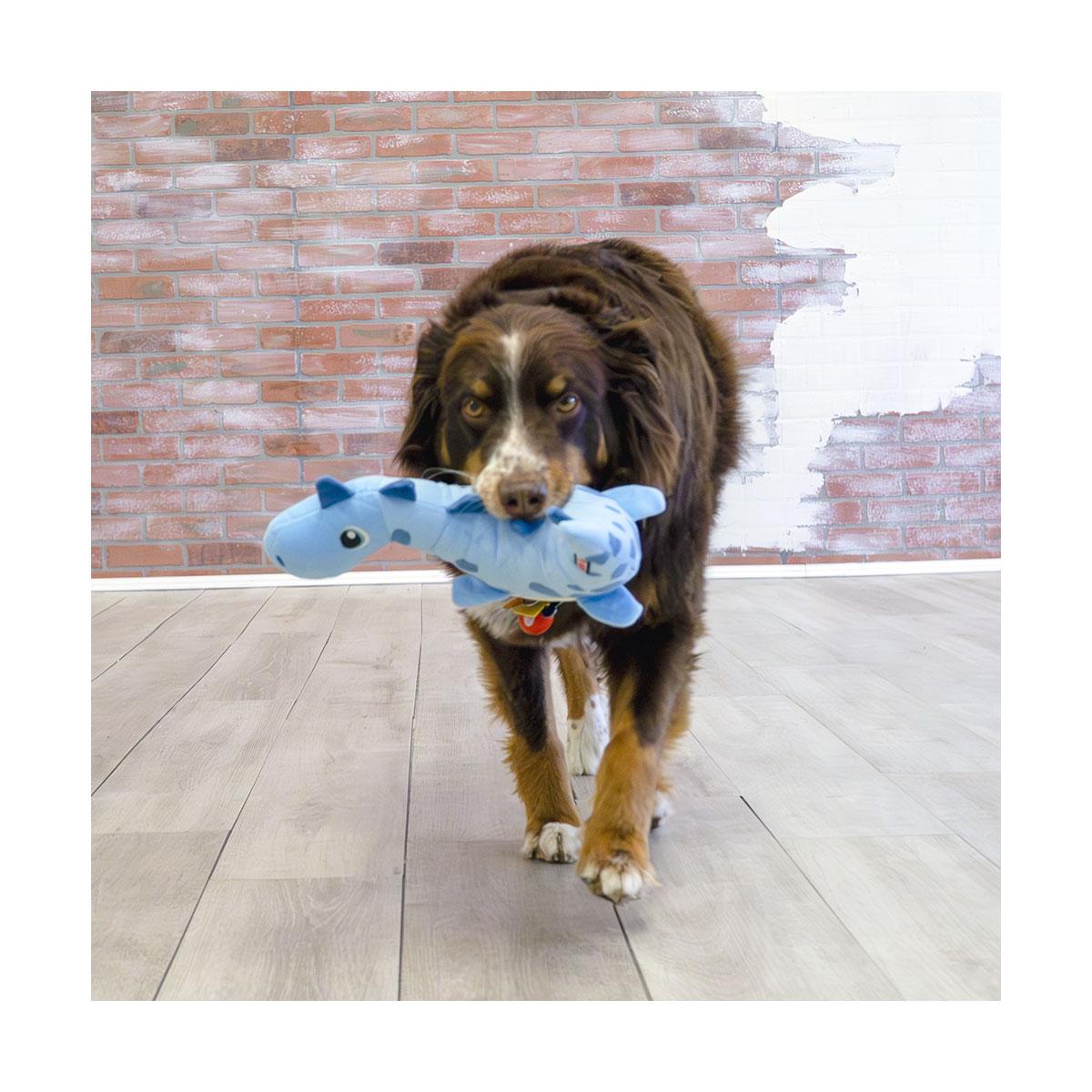 JOUET KONG DYNOS ROARS BLUE M-L