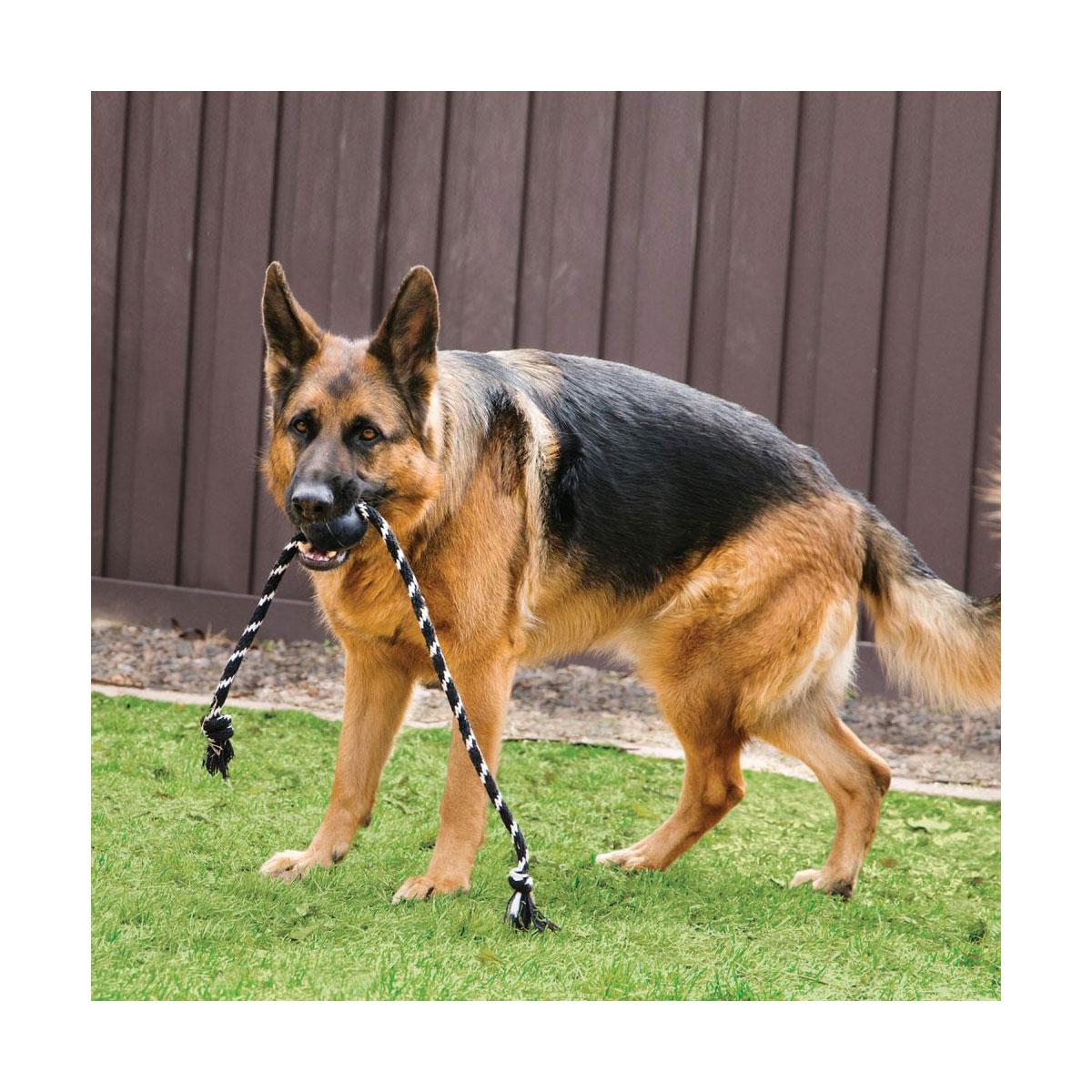 JOUET KONG EXTREME BALL L