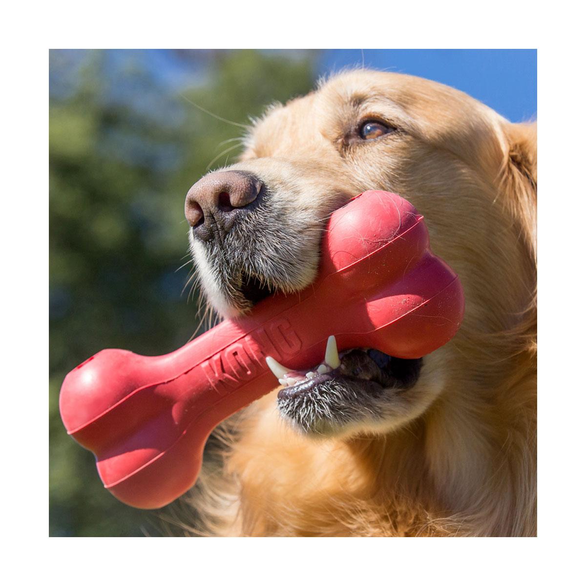 JOUET KONG GOODIE BONE NOEL