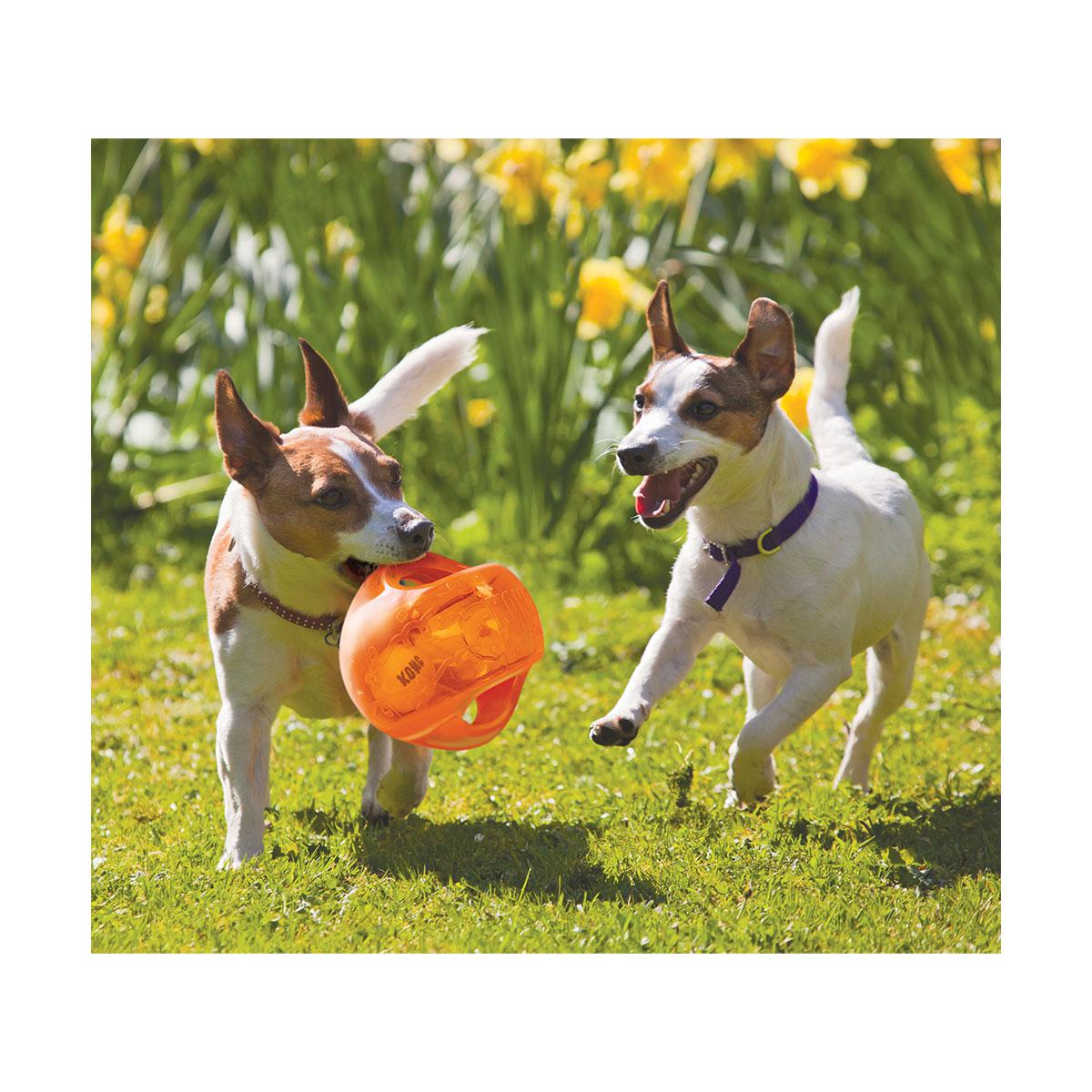 JOUET KONG JUMBLER BALL M/L