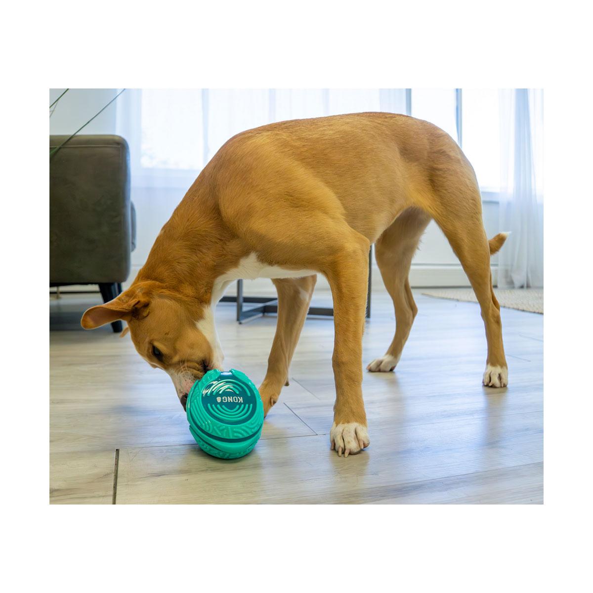 JOUET KONG LICKS REWARDS