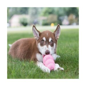 JOUET KONG PUPPY SMALL