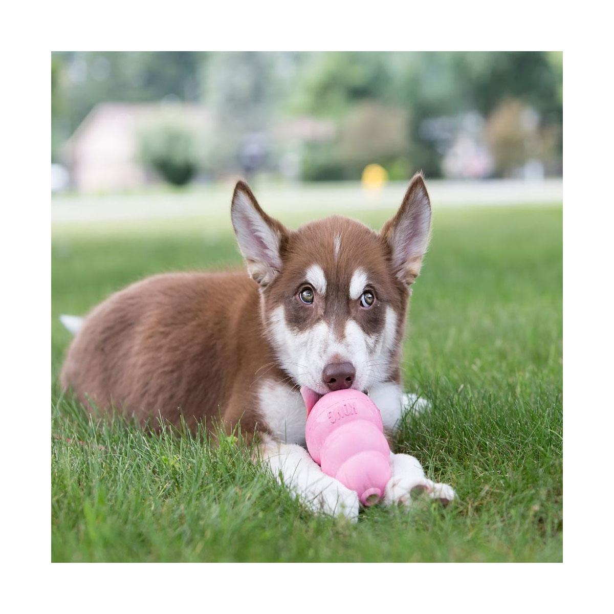 JOUET KONG PUPPY SMALL