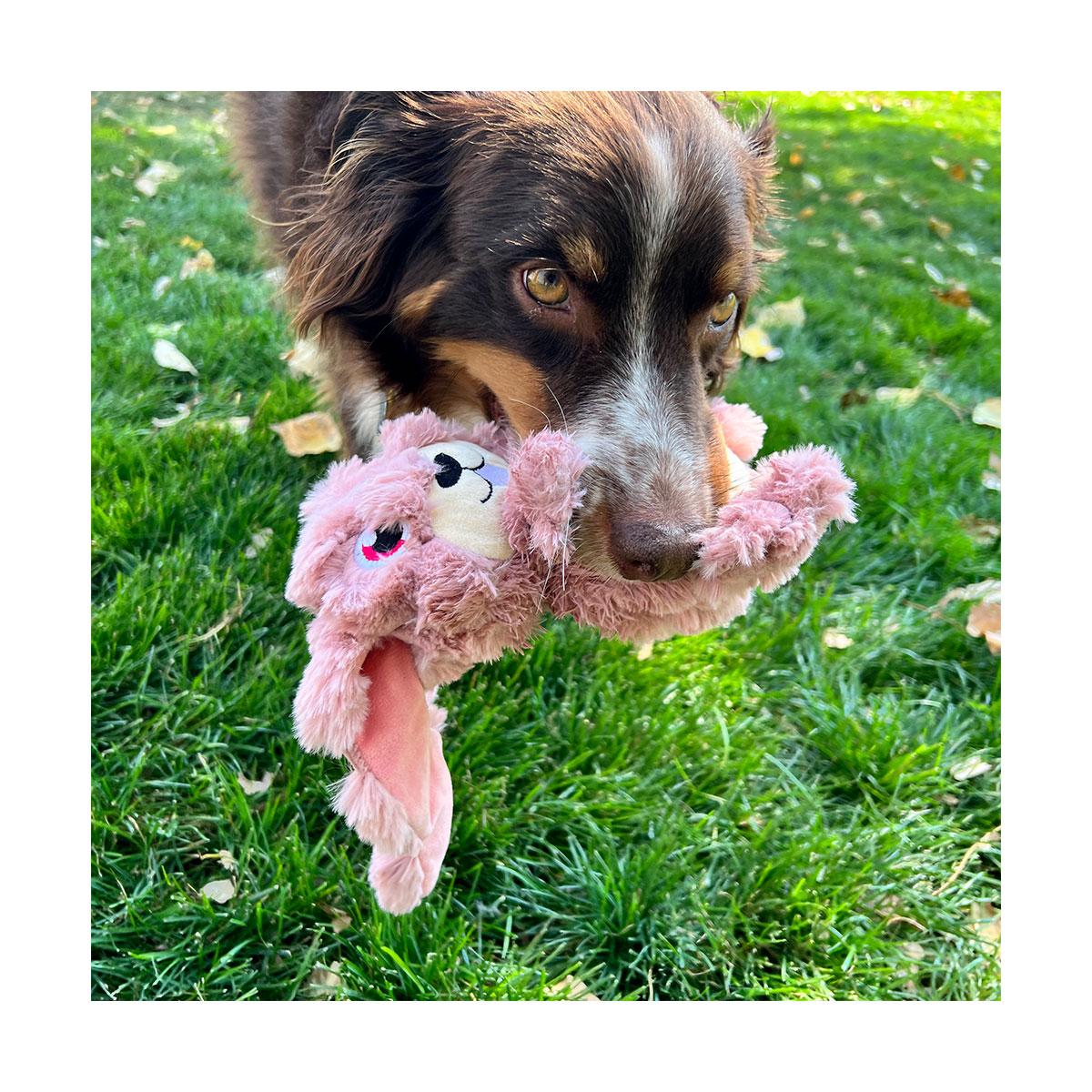 JOUET KONG SCRUMPLEZ BUNNY