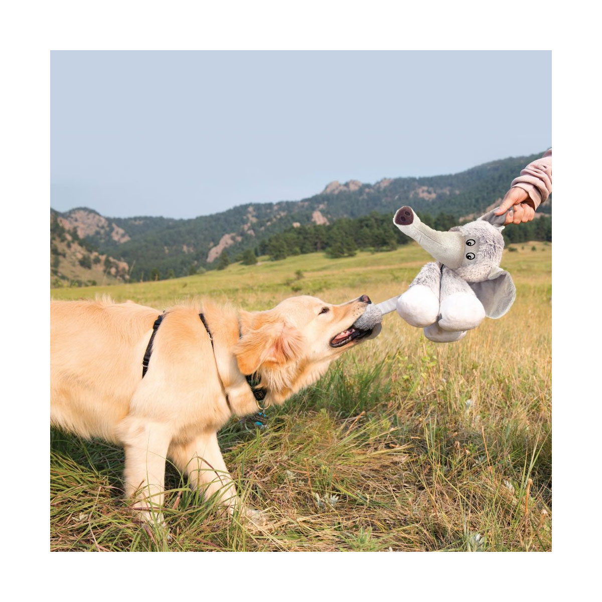 JOUET KONG STRETCH.LEGS ELEPH.S