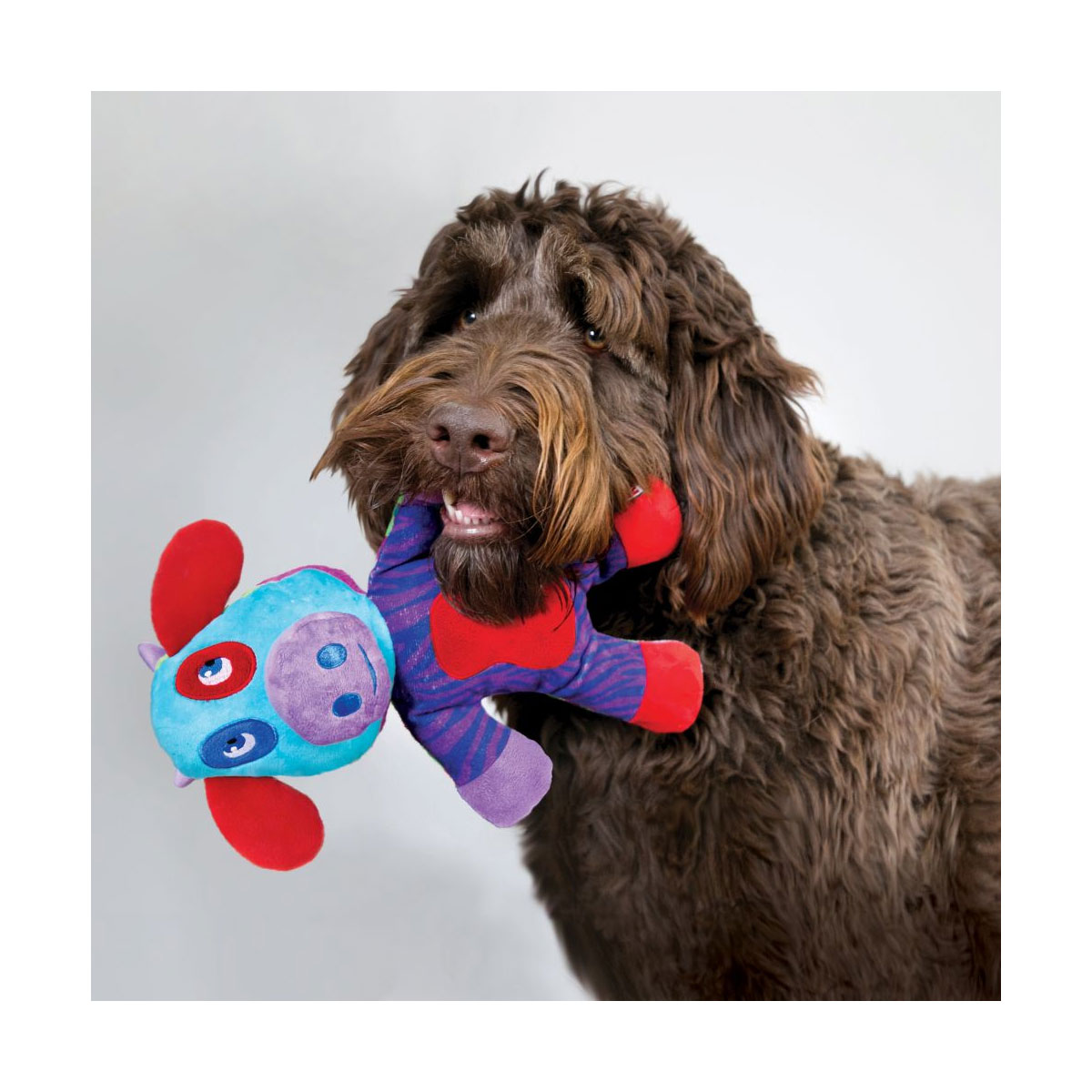 JOUET KONG SWITCHEROOS L