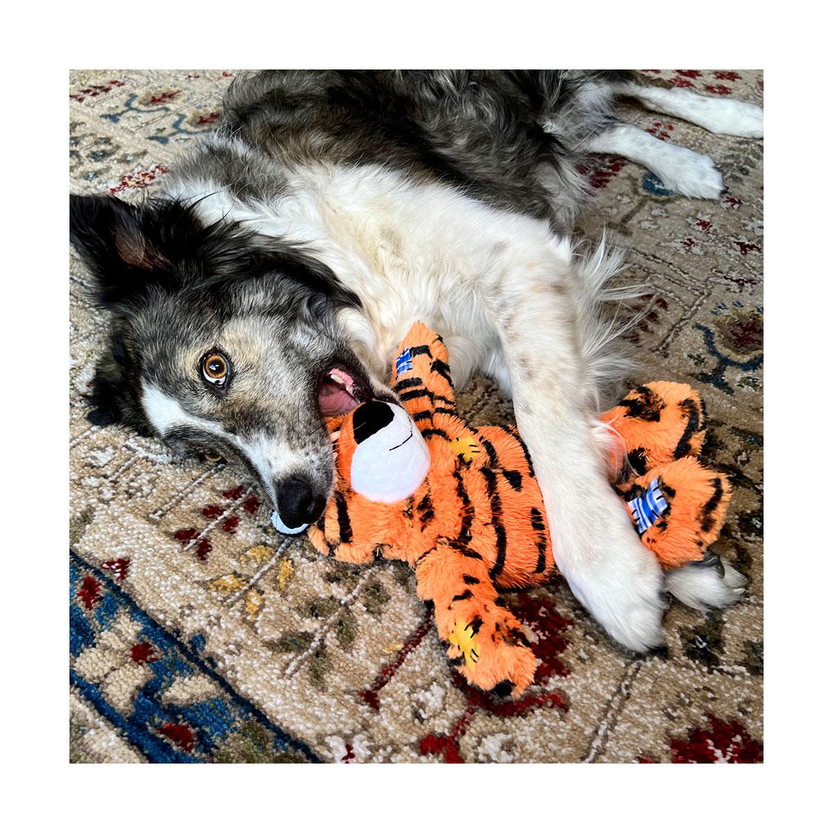 JOUET KONG WILD KNOTS TIGER