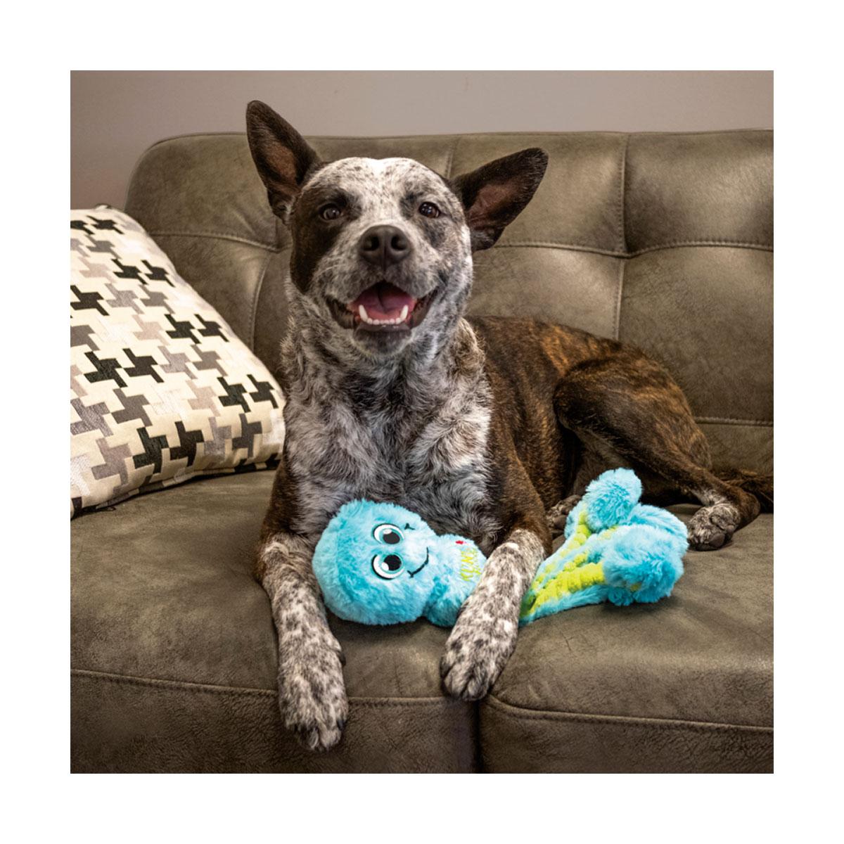 JOUET KONG WUBBA OCTOPUS L