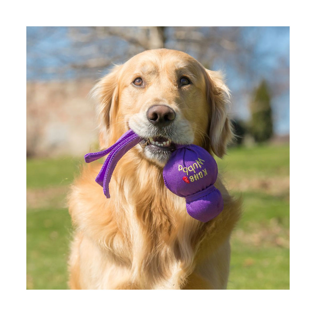 JOUET KONG WUBBA SONORE L