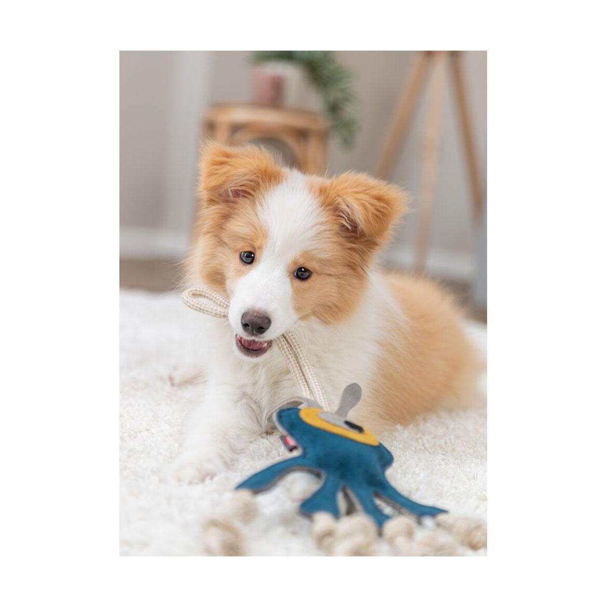 JOUET MONSTRE SUR CORDE