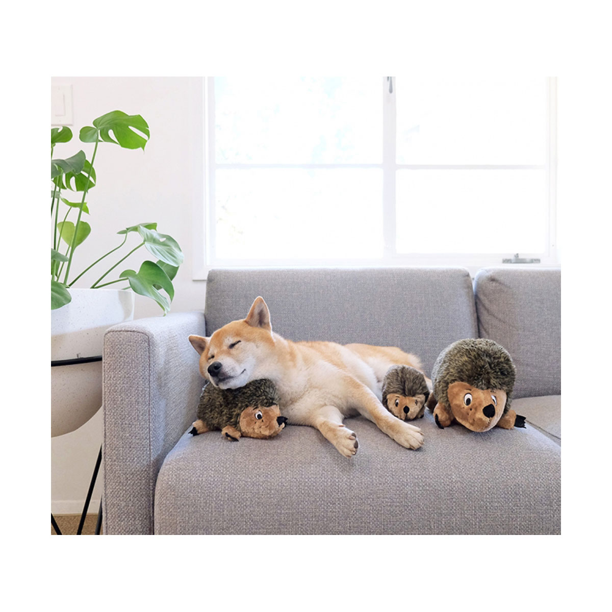 JOUET PELUCHE HERISSON