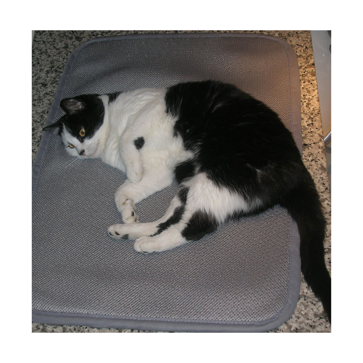 MATELAS CONFORT4PAT.64X69CM