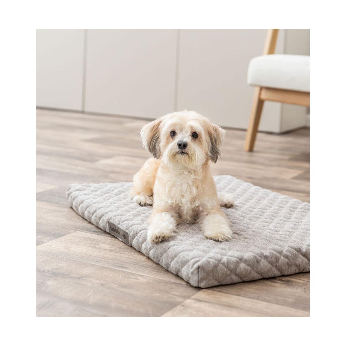 MATELAS VITAL NOAH 50X35CM