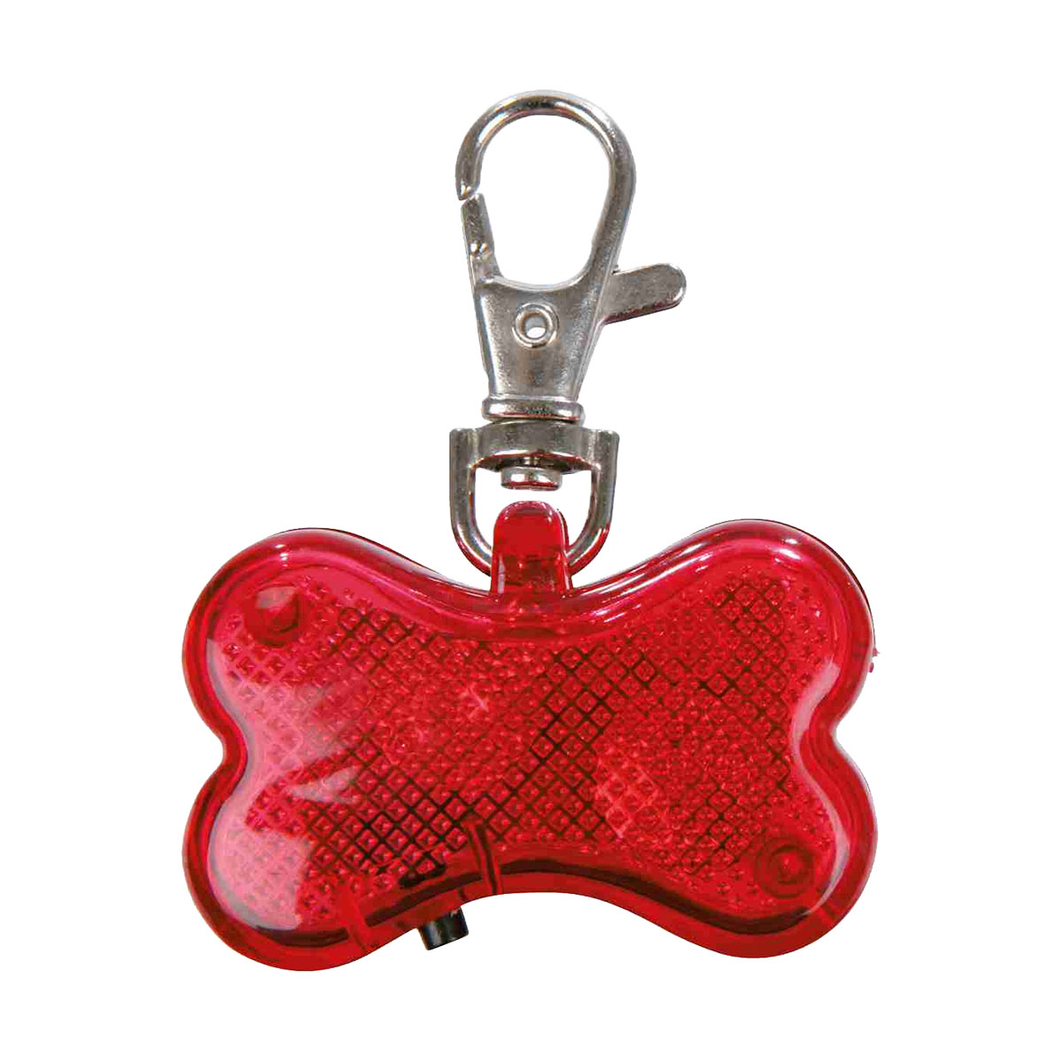 MEDAILLE FLASHER POUR CHIEN