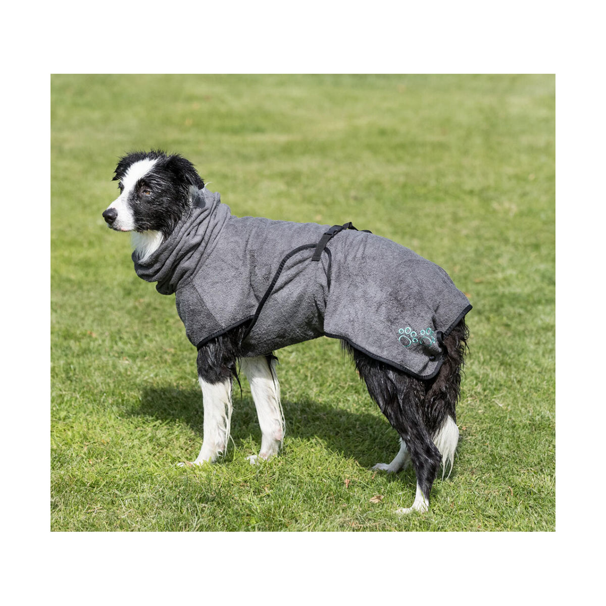 PEIGNOIR CHIEN GRIS 50 CM M