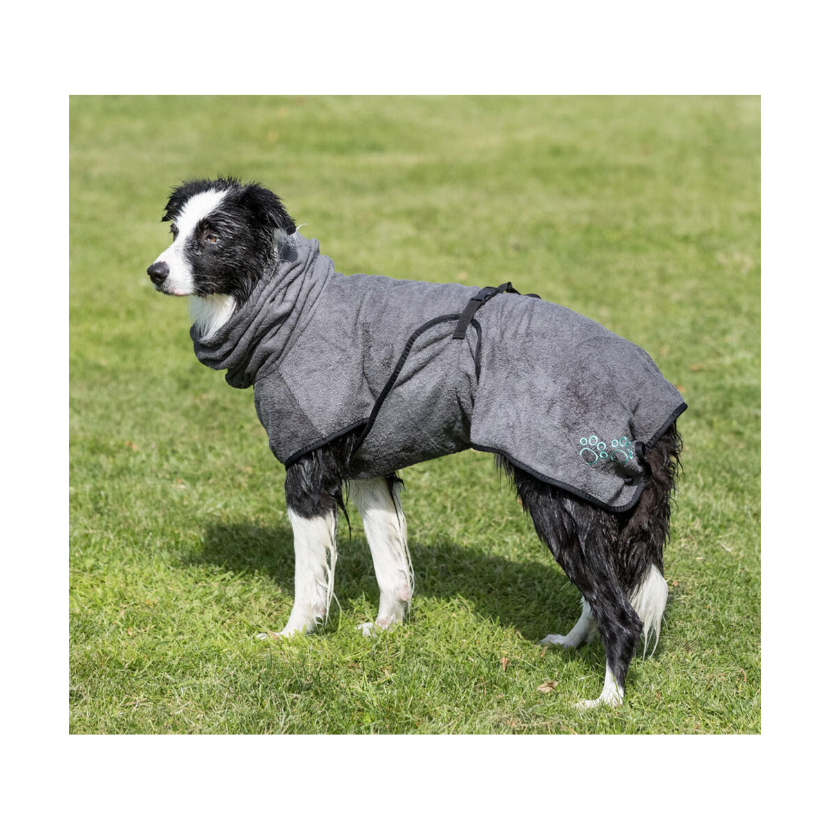 PEIGNOIR CHIEN GRIS 60 CM L