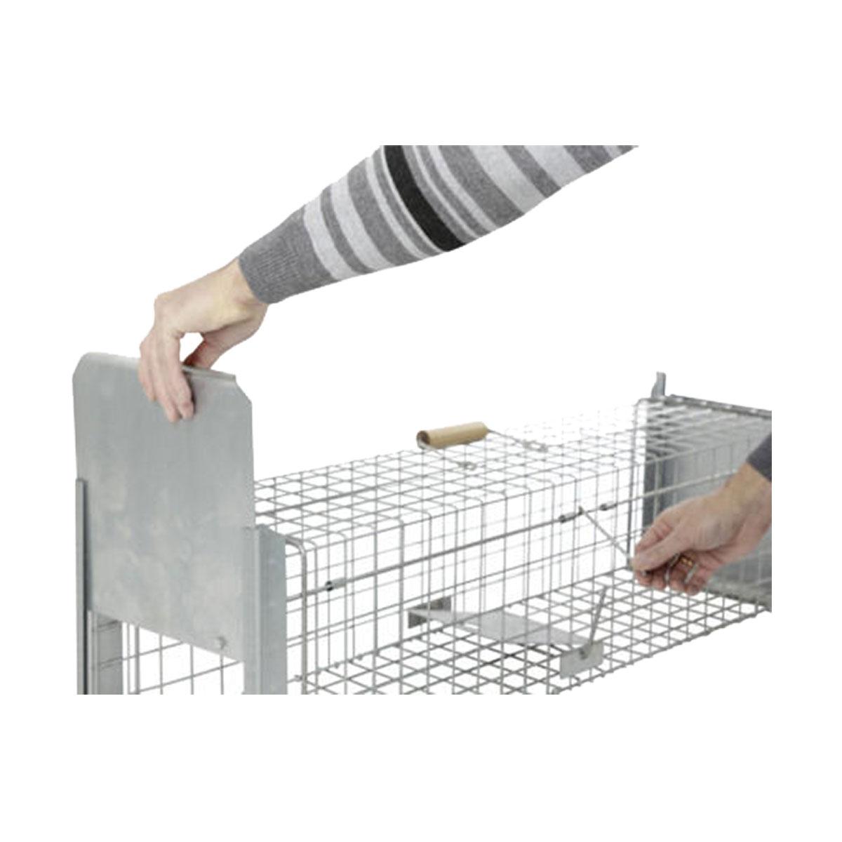 PIEGE 2 ENTREES ALIVE PREDATOR