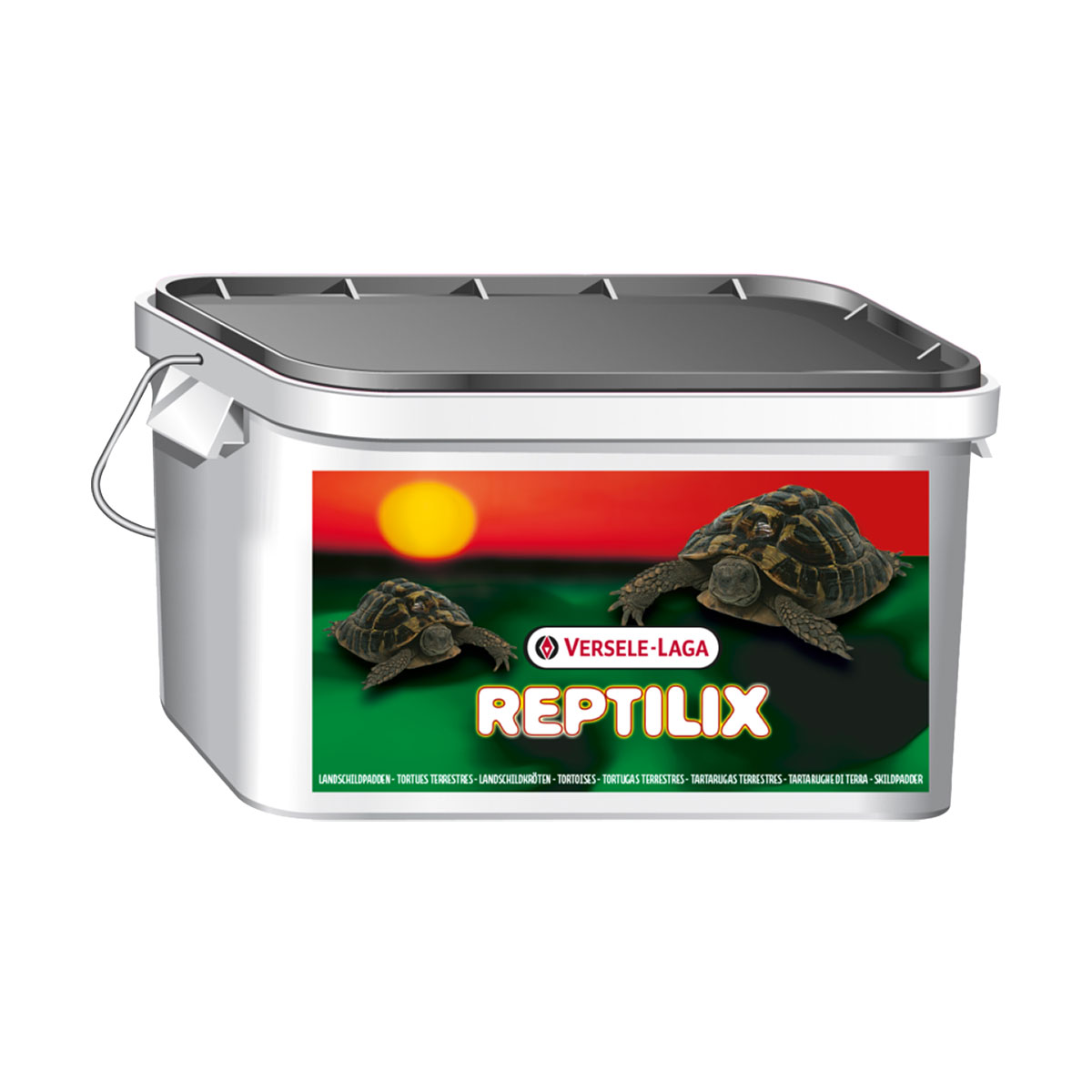 REPTILIX TORTUES 1KG