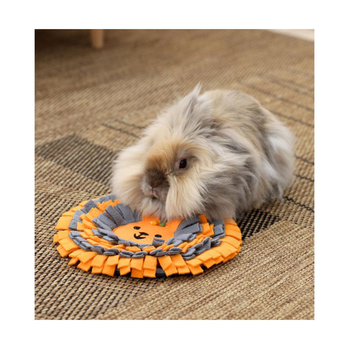 TAPIS A RENIFLER POUR LAPIN