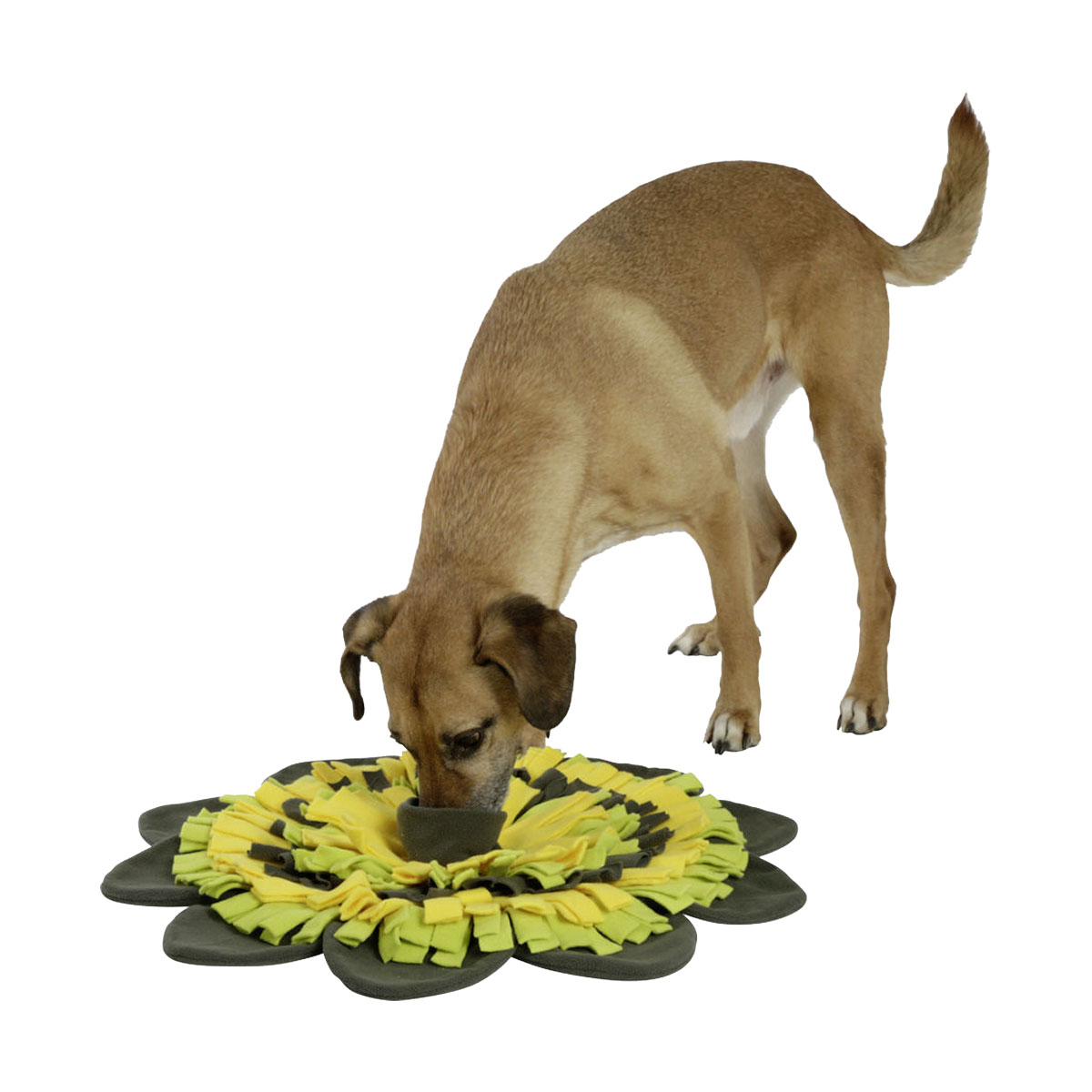 TAPIS A RENIFLER SUNFLOWER 40CM
