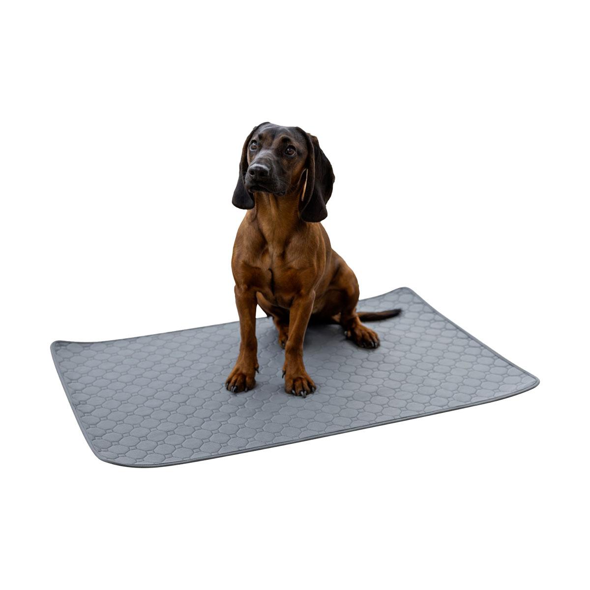 TAPIS EDUCATEUR 115X75CM