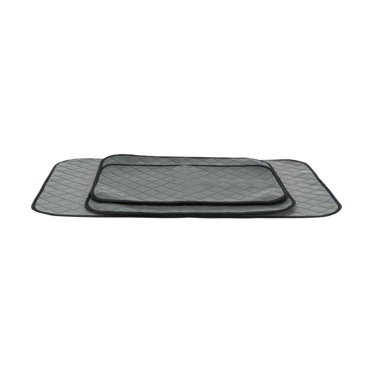 TAPIS EDUCATEUR 40X60CM