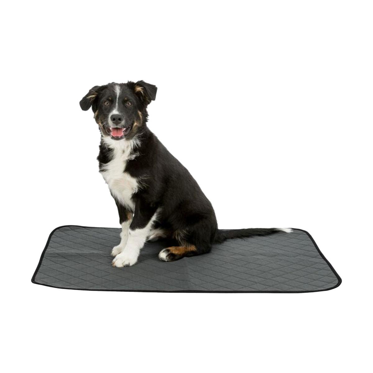 TAPIS EDUCATEUR 40X60CM