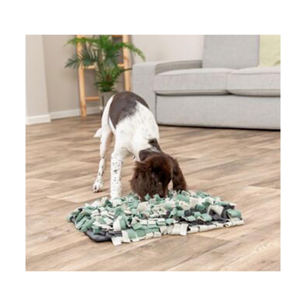 TAPIS A RENIFLER ACTIVITY